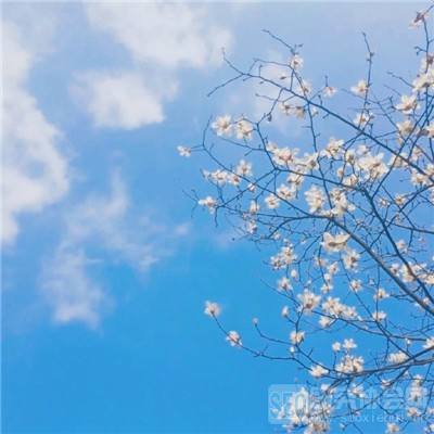 目标锁定游戏破解版下载
