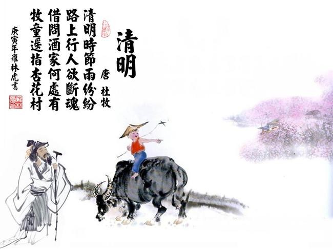 放开那数码兽官方下载
